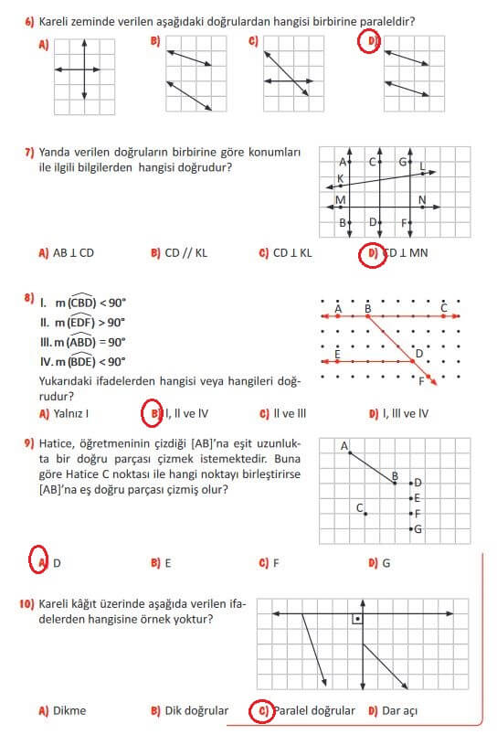 5. Sınıf Matematik Sayfa 208 Cevapları MEB 