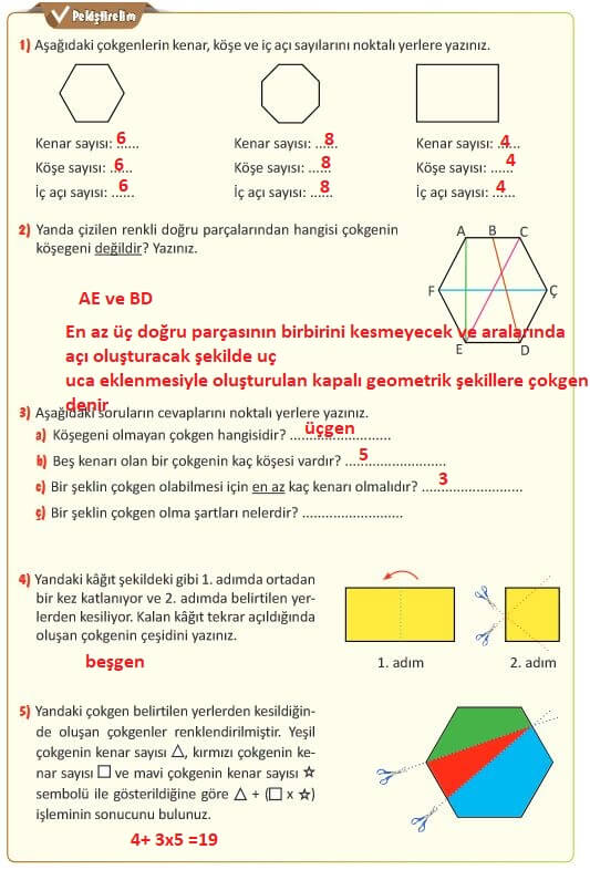 5. Sınıf Matematik Sayfa 213 Cevapları MEB 
