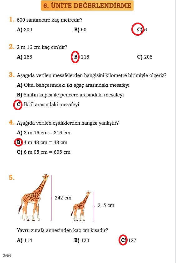 3. Sınıf Matematik Sayfa 266 Cevapları Ekoyay Yayın