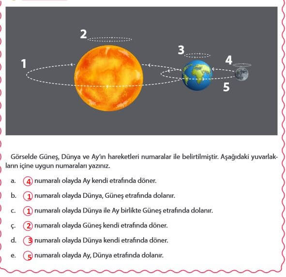 5. Sınıf Fen Bilimleri 37. Sayfa Cevapları MEB 