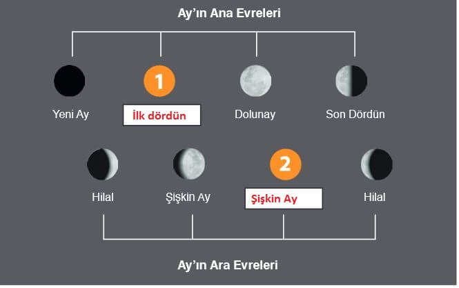 5. Sınıf Fen Bilimleri 42. Sayfa Cevapları MEB 