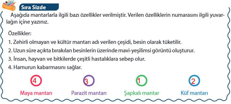 5. Sınıf Fen Bilimleri 53. Sayfa Cevapları MEB 