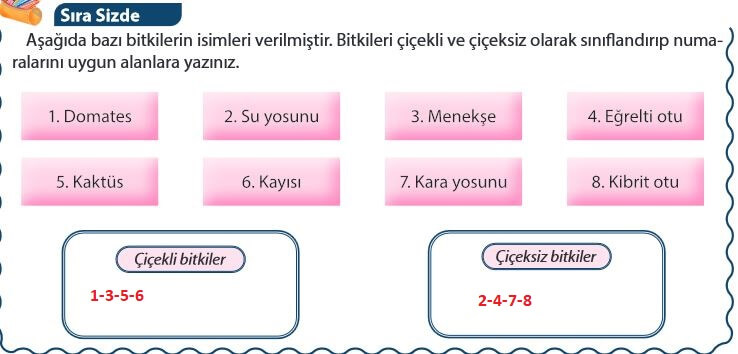 5. Sınıf Fen Bilimleri 55. Sayfa Cevapları MEB 