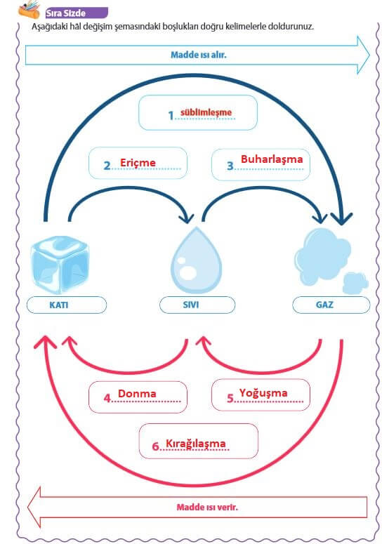 5. Sınıf Fen Bilimleri Sayfa 107 Cevapları MEB 