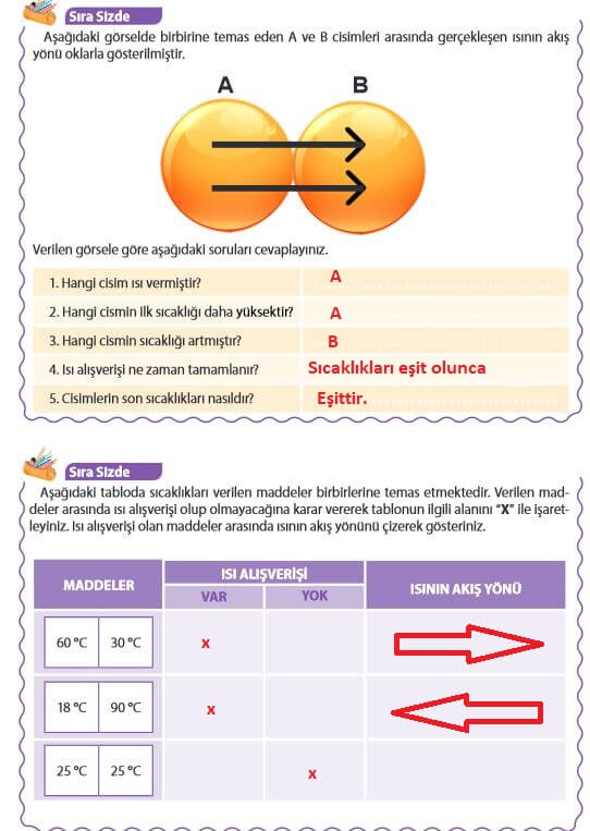 5. Sınıf Fen Bilimleri Sayfa 119 Cevapları MEB