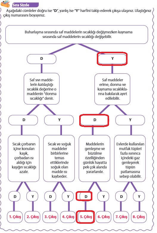 5. Sınıf Fen Bilimleri Sayfa 126 Cevapları MEB 