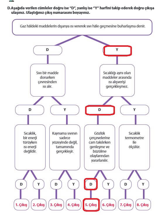 5. Sınıf Fen Bilimleri Sayfa 134 Cevapları MEB 