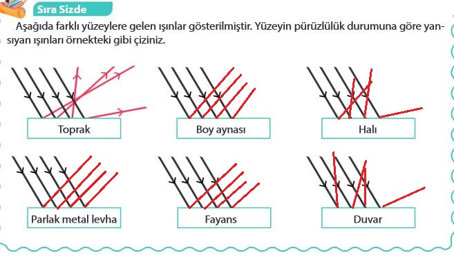 5. Sınıf Fen Bilimleri Sayfa 144 Cevapları MEB 