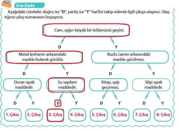 5. Sınıf Fen Bilimleri Sayfa 152 Cevapları MEB 