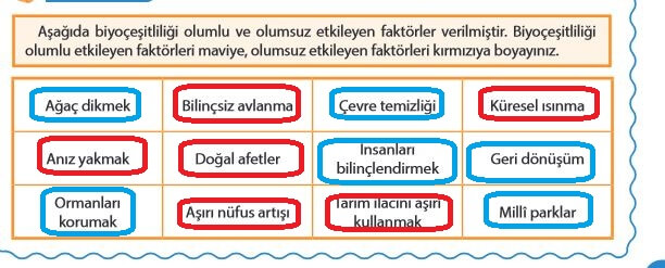 5. Sınıf Fen Bilimleri Sayfa 173 Cevapları MEB