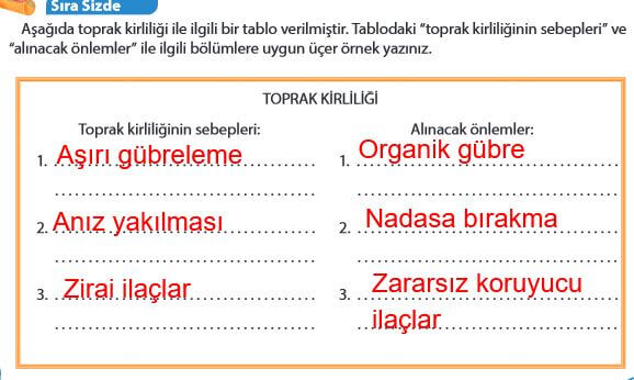 5. Sınıf Fen Bilimleri Sayfa 181 cevapları MEB