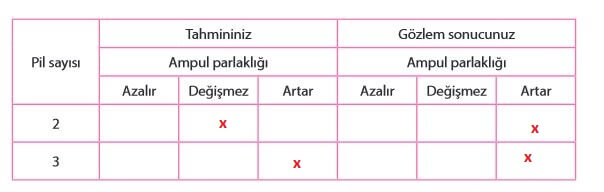 5. Sınıf Fen Bilimleri Sayfa 211 Cevapları MEB