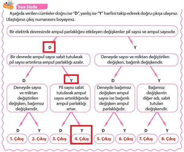 5. Sınıf Fen Bilimleri Sayfa 213 Cevapları MEB