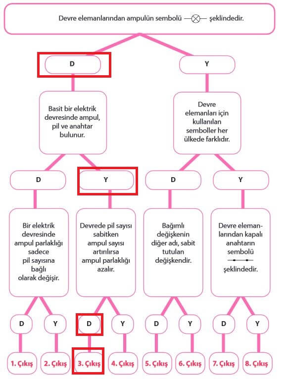 5. Sınıf Fen Bilimleri Sayfa 221 Cevapları MEB 