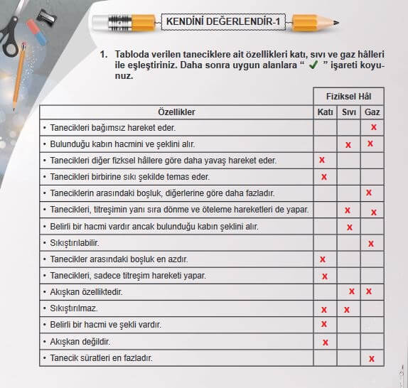 6. Sınıf Fen Bilimleri Sayfa 117 Cevapları MEB 