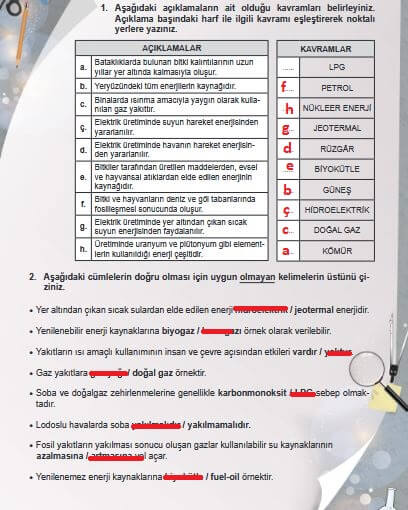 6. Sınıf Fen Bilimleri Sayfa 141 Cevapları MEB 