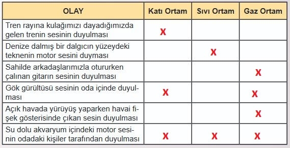 6. Sınıf Fen Bilimleri Sayfa 155 Cevapları MEB 