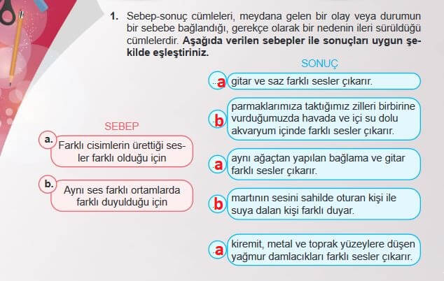 6. Sınıf Fen Bilimleri Sayfa 161 Cevapları MEB