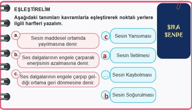 6. Sınıf Fen Bilimleri Sayfa 169 Cevapları MEB 