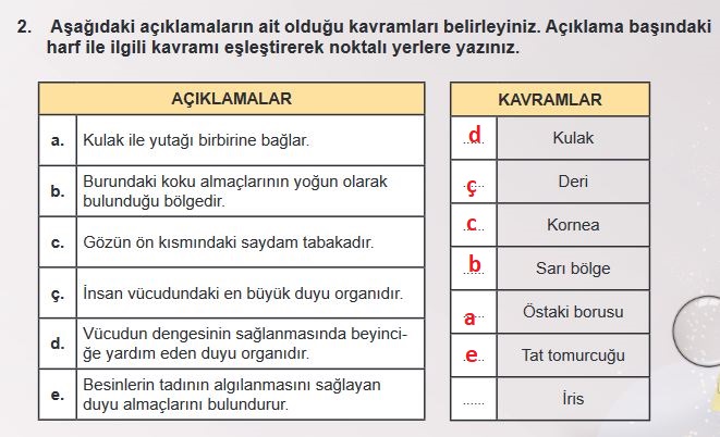 6. Sınıf Fen Bilimleri Sayfa 203 Cevapları MEB 