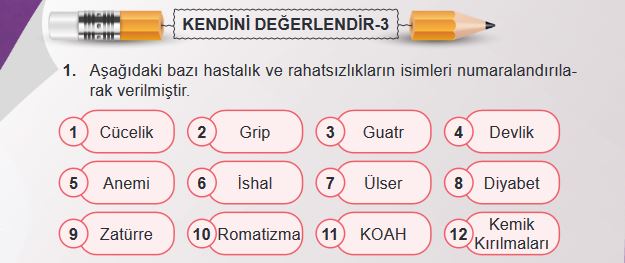 6. Sınıf Fen Bilimleri Sayfa 211 Cevapları MEB 