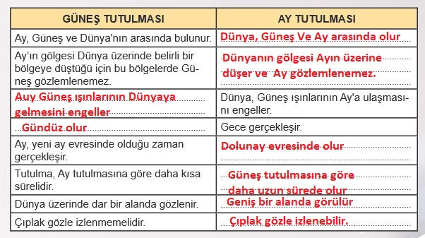 6. Sınıf Fen Bilimleri Sayfa 31 cevapları MEB 