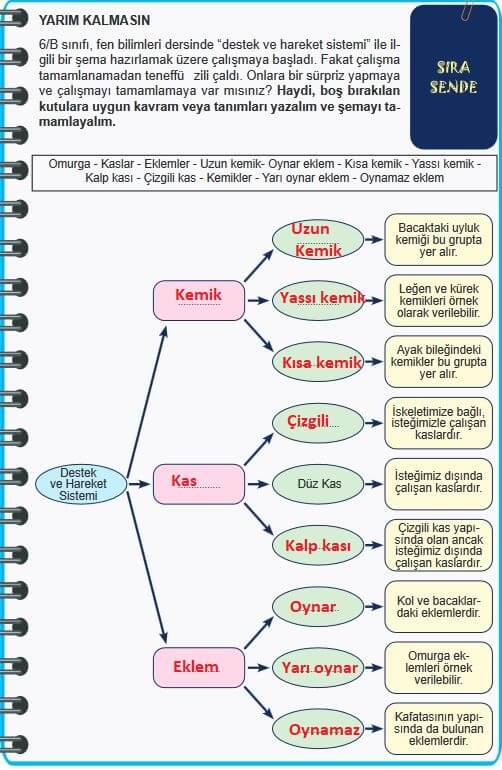 6. Sınıf Fen Bilimleri Sayfa 48 Cevapları MEB 