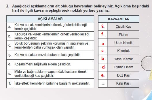 6. Sınıf Fen Bilimleri Sayfa 49 Cevapları MEB 