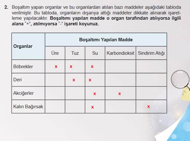 6. Sınıf Fen Bilimleri Sayfa 73 Cevapları MEB 