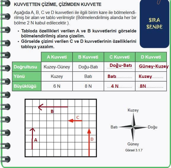 6. Sınıf Fen Bilimleri Sayfa 86 Cevapları MEB 