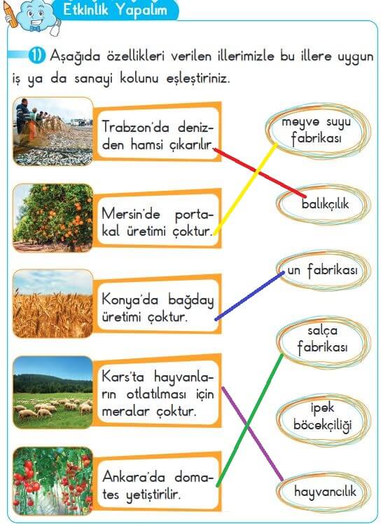 2. Sınıf Hayat Bilgisi Ders Kitabı Sayfa 211 Cevapları SDR Dikey Yayınları