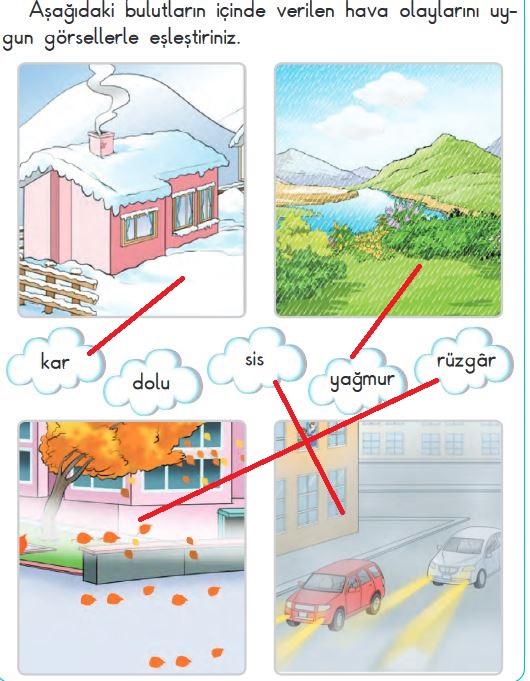 2. Sınıf Hayat Bilgisi Ders Kitabı Sayfa 217 Cevapları SDR Dikey Yayınları