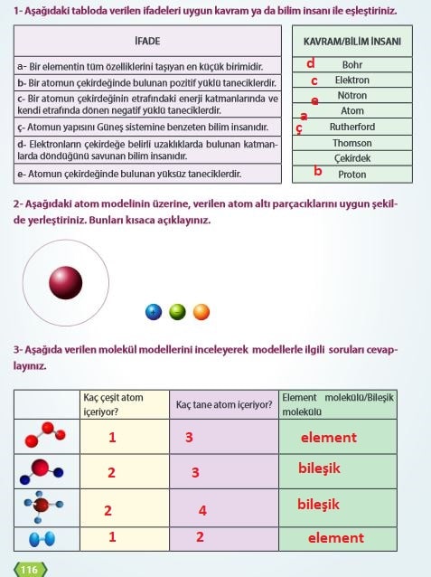 7. Sınıf Fen Bilimleri Sayfa 116 Cevapları MEB 