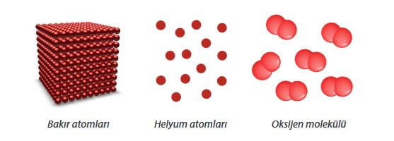 7. Sınıf Fen Bilimleri Sayfa 118 Cevapları MEB