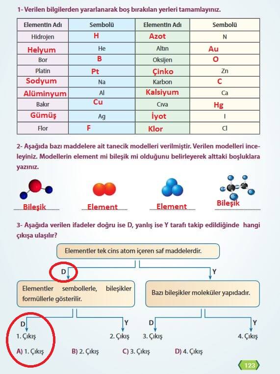 7. Sınıf Fen Bilimleri Sayfa 123 Cevapları MEB 