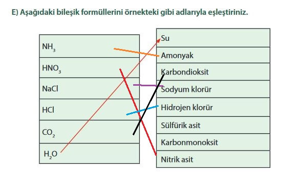 7. Sınıf Fen Bilimleri Sayfa 147 Cevapları MEB