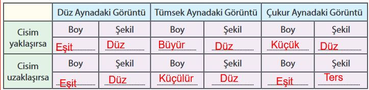 7. Sınıf Fen Bilimleri Sayfa 164 Cevapları MEB