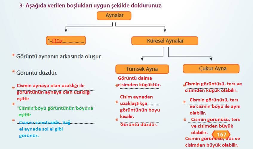 7. Sınıf Fen Bilimleri Sayfa 167 Cevapları MEB 