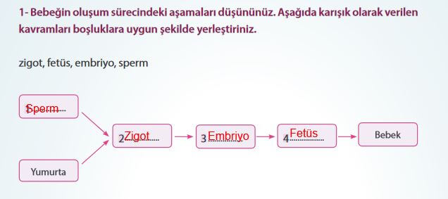 7. Sınıf Fen Bilimleri Sayfa 193 Cevapları MEB 