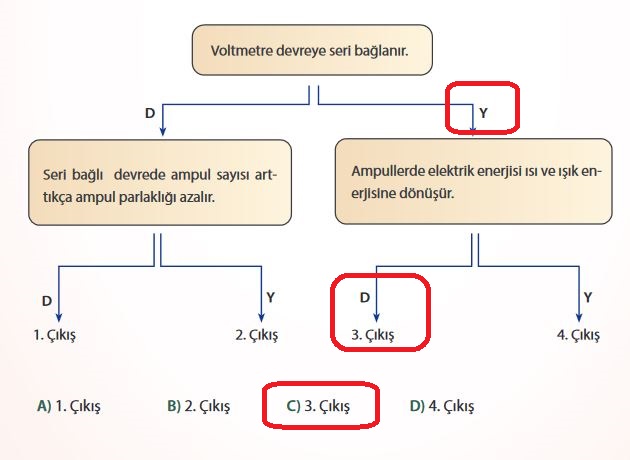 7. Sınıf Fen Bilimleri Sayfa 219 Cevapları MEB Yayınları