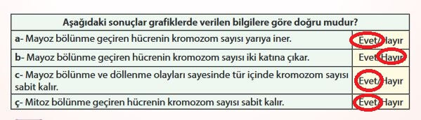 7. Sınıf Fen Bilimleri Sayfa 74 Cevapları MEB 