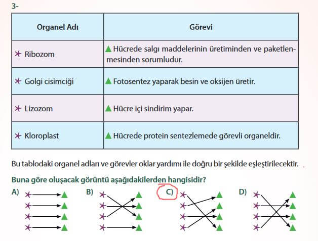 7. Sınıf Fen Bilimleri Sayfa 76 Cevapları MEB 