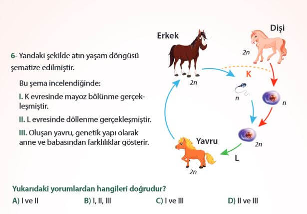 7. Sınıf Fen Bilimleri Sayfa 77 Cevapları MEB 