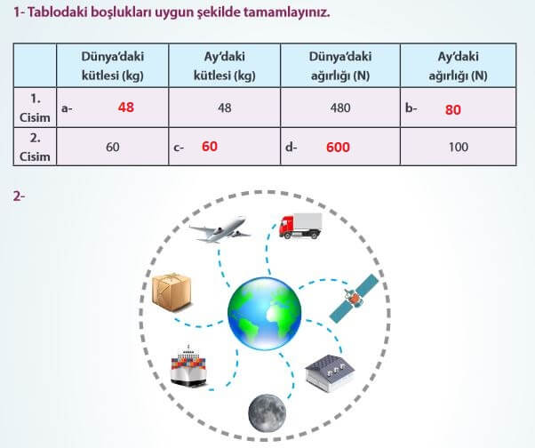 7. Sınıf Fen Bilimleri Sayfa 85 Cevapları MEB 