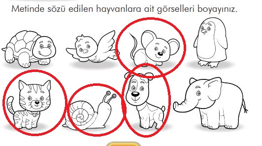 2. Sınıf Türkçe Ders Kitabı 38. Sayfa Cevapları İlke Yayınları