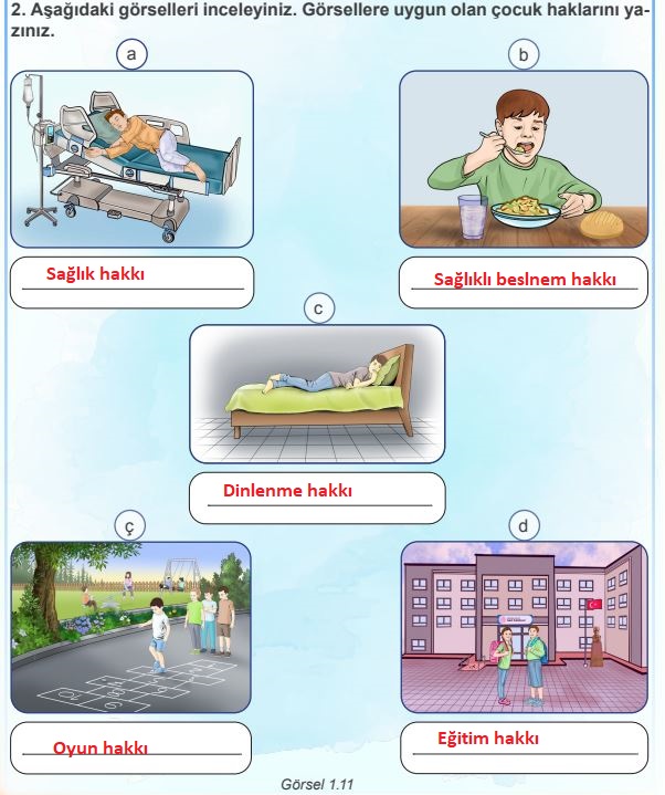 4. Sınıf İnsan Hakları Vatandaşlık Ve Demokrasi Ders Kitabı Cevapları Sayfa 25