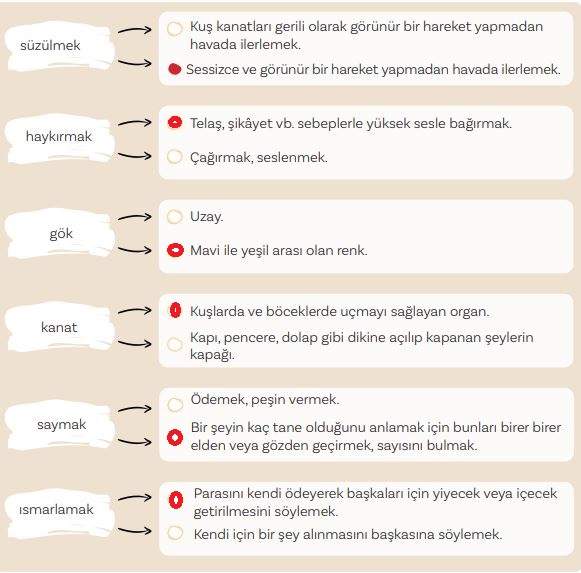 5. Sınıf Türkçe Ders Kitabı 56. Sayfa Cevapları MEB Yayınları 