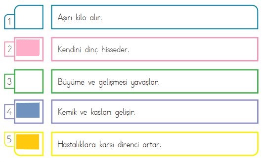 3. Sınıf Hayat Bilgisi MEB 111. Sayfa Cevapları 1