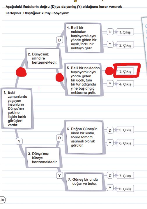 3. sınıf fen bilimleri sayfa 20 cevapları meb yayınları