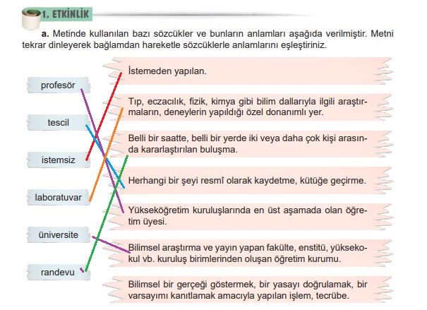 6. sınıf türkçe 67. sayfa cevapları meb yayınları